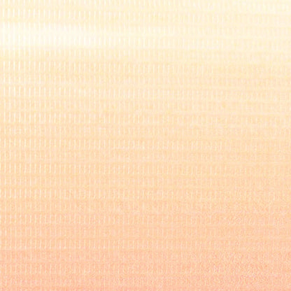 Biombo Divisor Plegable París De Noche