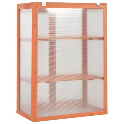 Invernadero De Madera 75X47X109 Cm