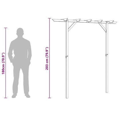 Pérgola De Jardín De Madera 205X40X203 Cm