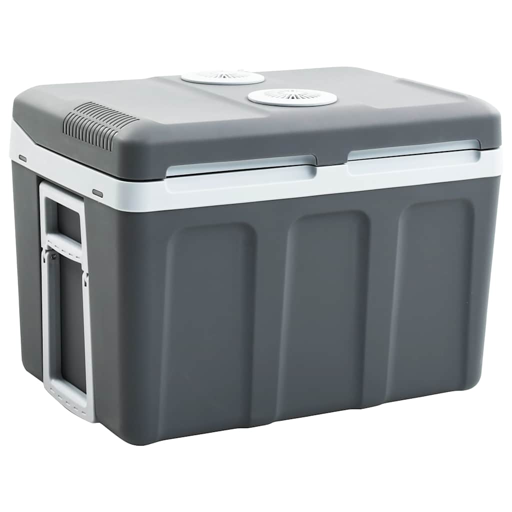 Nevera Termoeléctrica Portátil Itros 12 V 230 V E