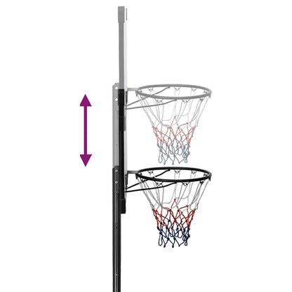 Canasta De Baloncesto Policarbonato Transparente 235-305 Cm