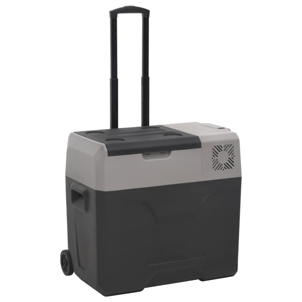 Nevera Con Ruedas Y Adaptador Polipropileno Negro Y Gris