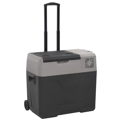 Nevera Con Ruedas Y Adaptador Polipropileno Negro Y Gris
