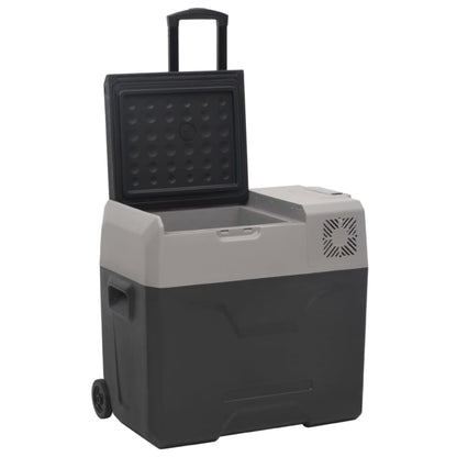 Nevera Con Ruedas Y Adaptador Polipropileno Negro Y Gris
