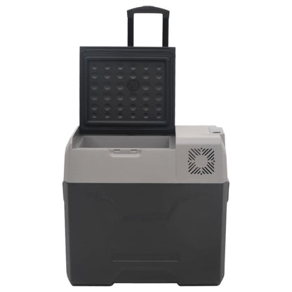 Nevera Con Ruedas Y Adaptador Polipropileno Negro Y Gris