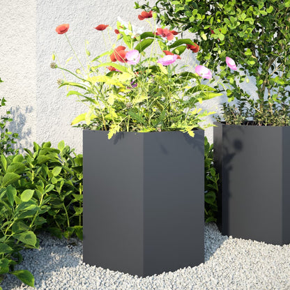 Jardineras Hexagonales Acero Desgastado