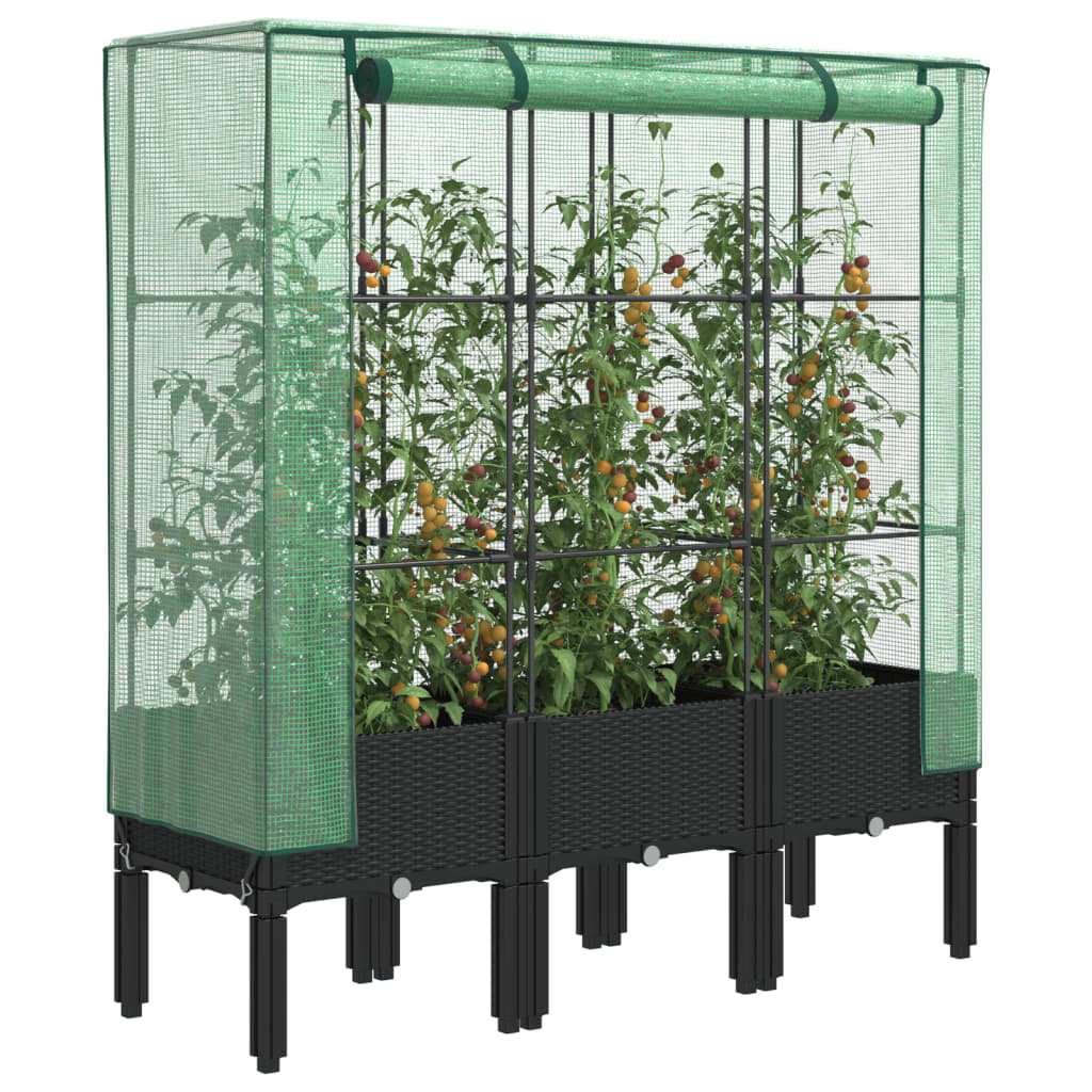 Arriate Con Cubierta Invernadero Aspecto Ratán