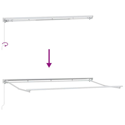 Estructura Del Toldo Manual Ajustable 4 X 2 M Acero