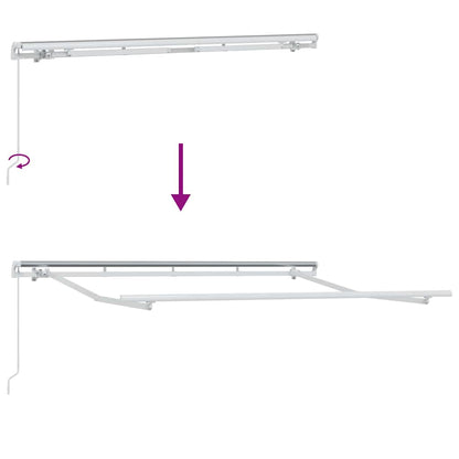 Estructura Del Toldo Manual 3 X 2 M Metal
