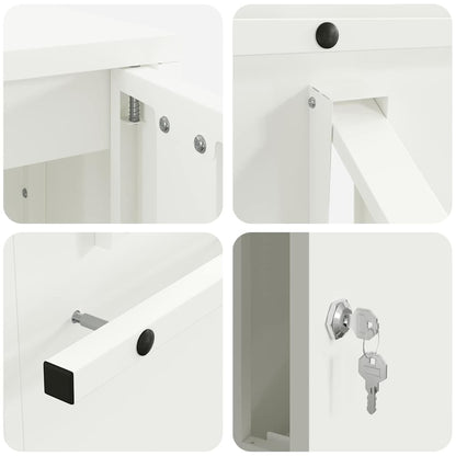 Buzón Con Almacenamiento Con Puerta 30 X 20 X 55 Cm Acero