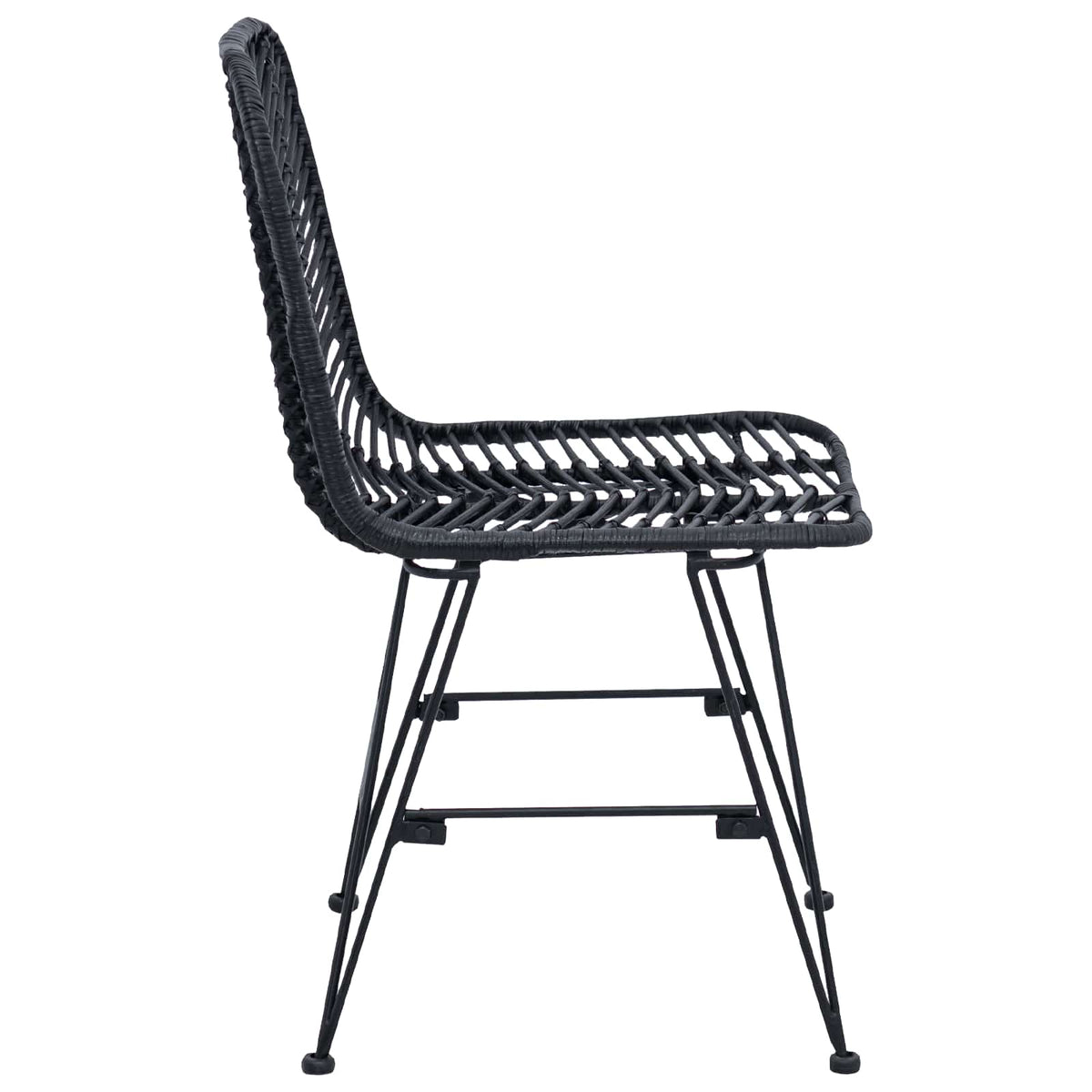 Silla De Comedor 2 Uds. Ratan E Hierro 44 X 54.5 X 85 Cm