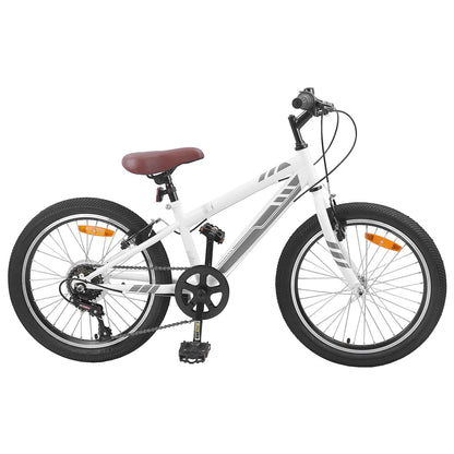 Bicicleta De Montaña 6-Velocidad