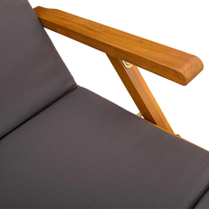 Recliner Y Tumbona Plegable 55 X 146 X 91 Cm