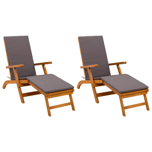 Recliner Y Tumbona Plegable 2 Pcs Gris 55 X 146 X 91 Cm