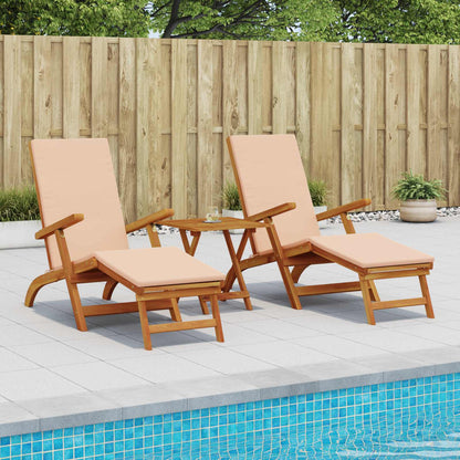 Recliner Y Tumbona Plegable 2 Pcs 55 X 146 X 91 Cm