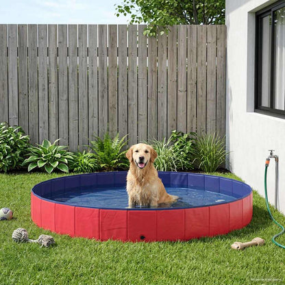 Piscina Para Perros Plegable Pvc