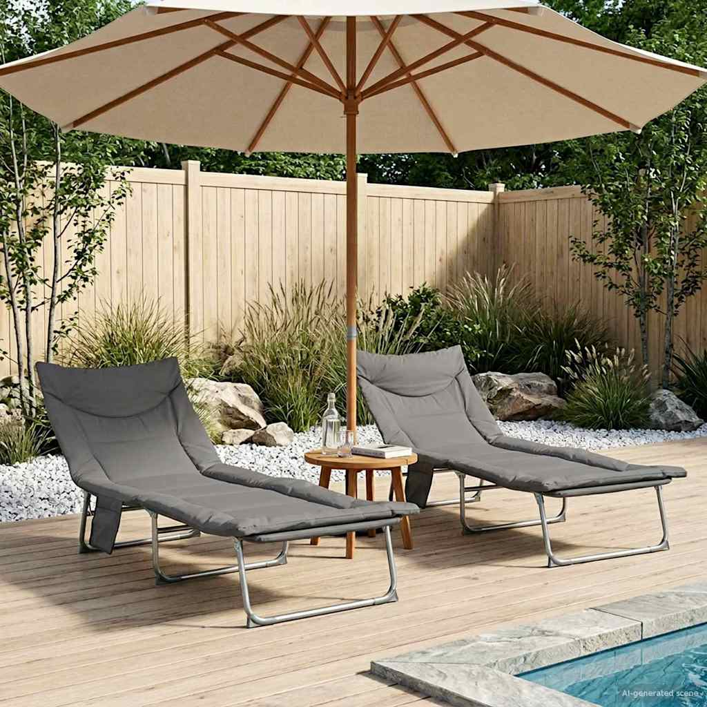 Tumbona Plegable Con Cojín 2 Pcs