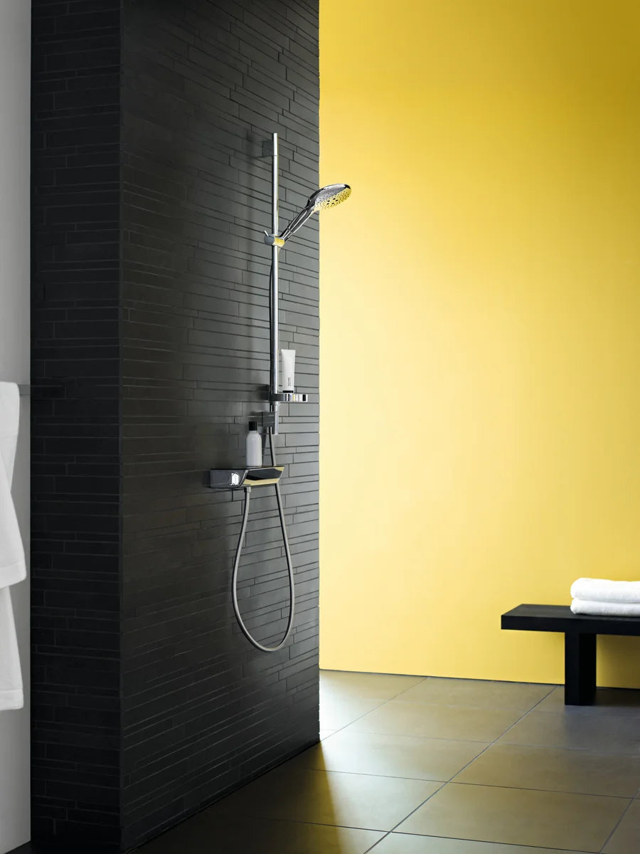 Ducha Hansgrohe Ecostat select - Cromo